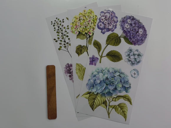 A 14 second video shows a close-up of 3 sheets of ReDesign with Prima's Mystic Hydrangea small rub-on transfer.