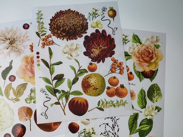 A 15 second video shows a hand sliding and lifting a corner of a sheet of ReDesign with Prima's Seasonal Splendor small rub-on transfer against a white background.
