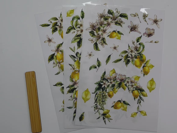 A 15 second video shows close-ups of Belles & Whistles' Lemon Zest small transfer. A hand is shown moving around the sheets to show all of the designs.