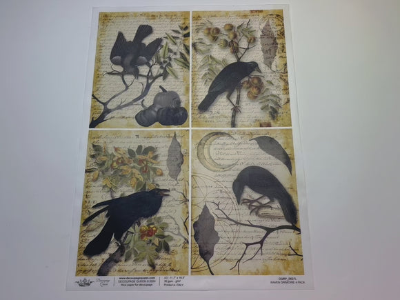 A 14 second video shows a close-up and backside of Decoupage Queen's Raven Grimoire A3 rice paper.