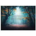 A1 fiber paper design that features a misty Autumn forest path lit by a ray of sunlight coming through the tree canopy. White borders are on the top and bottom.