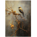 A1 fiber paper design featuring a solemn bird perched on a dried bit of greenery against a grey foggy backdrop. White borders are on the sides.