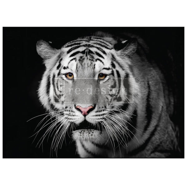 A1 fiber paper design that features a stunning monochrome portrait of a tiger with gold eyes. White borders are on the top and bottom.