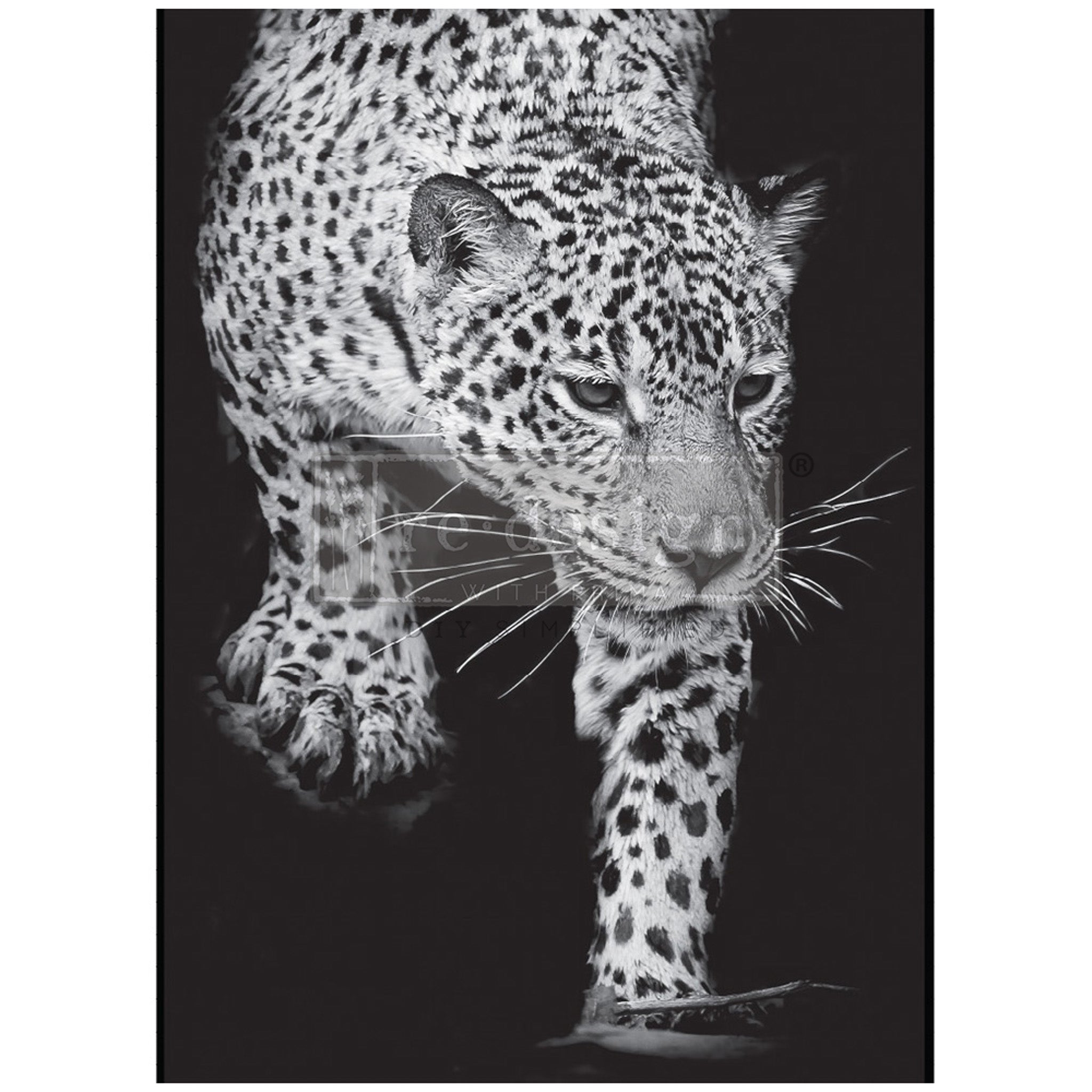 A1 fiber paper design featuring a monochrome image of a jaguar in stride searching for its prey. White borders are on the sides.