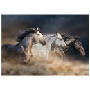 A1 fiber paper design that features three horses galloping freely creating a dust cloud underneath them. White borders are on the top and bottom.