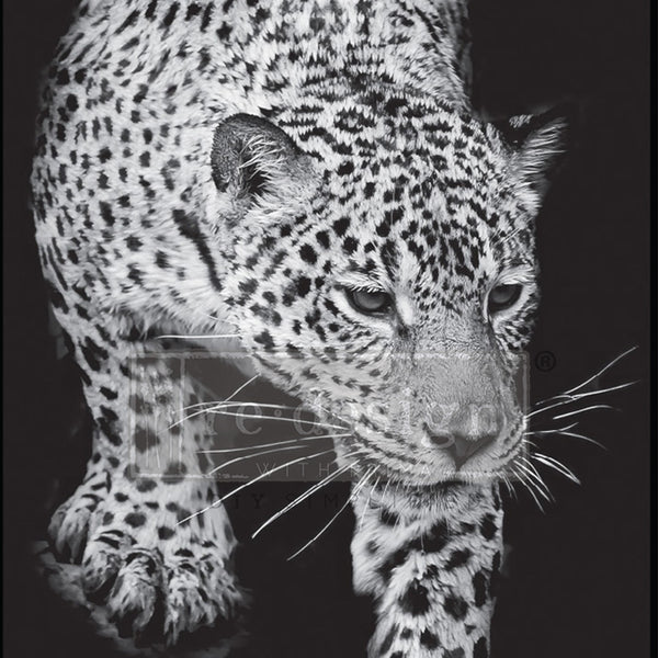 A1 fiber paper design featuring a monochrome image of a jaguar in stride searching for its prey.