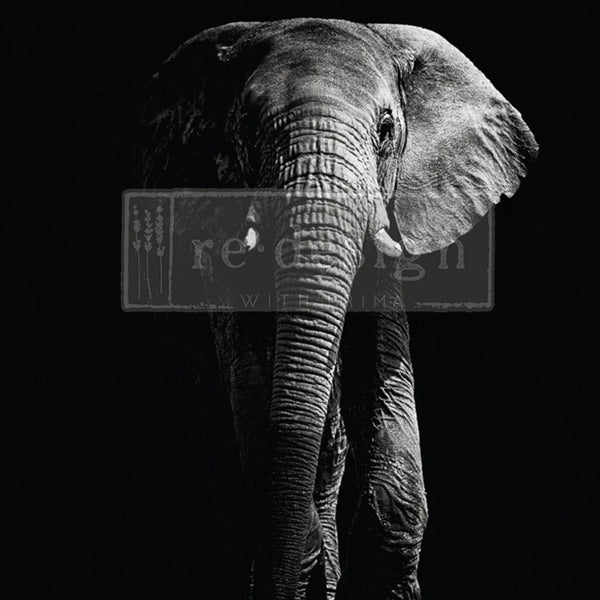 A1 fiber paper design featuring a monochrome portrait of an African elephant with its left side in the shadows.