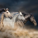 A1 fiber paper design that features three horses galloping freely creating a dust cloud underneath them. 