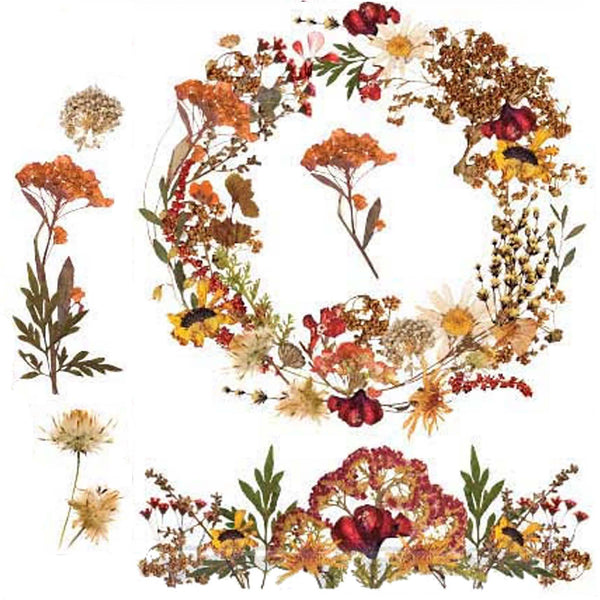 Small rub-on transfer that features a wreath, bouquet, and single dried Autumn wildflowers against a white background.