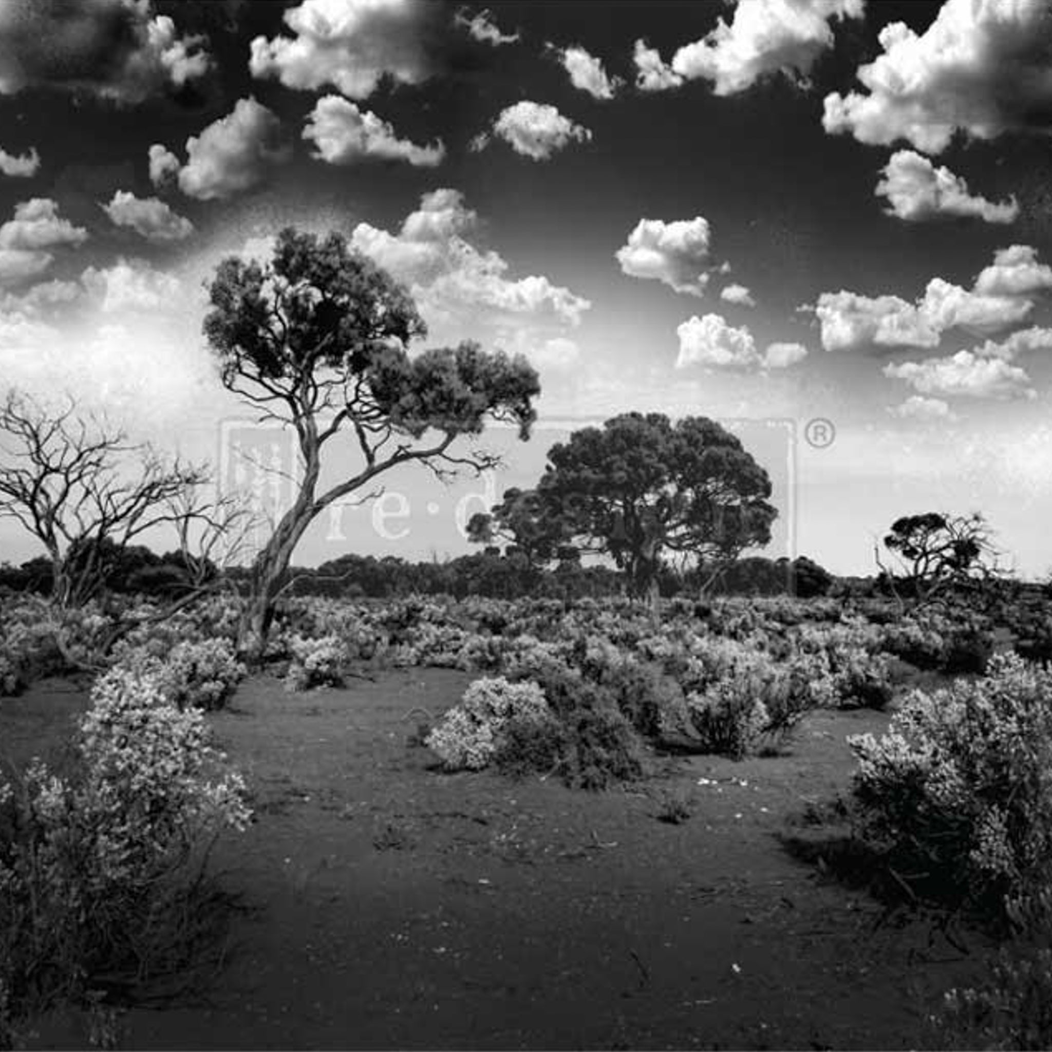 Close-up of an A1 fiber paper design featuring a beautiful black and white African desert landscape.