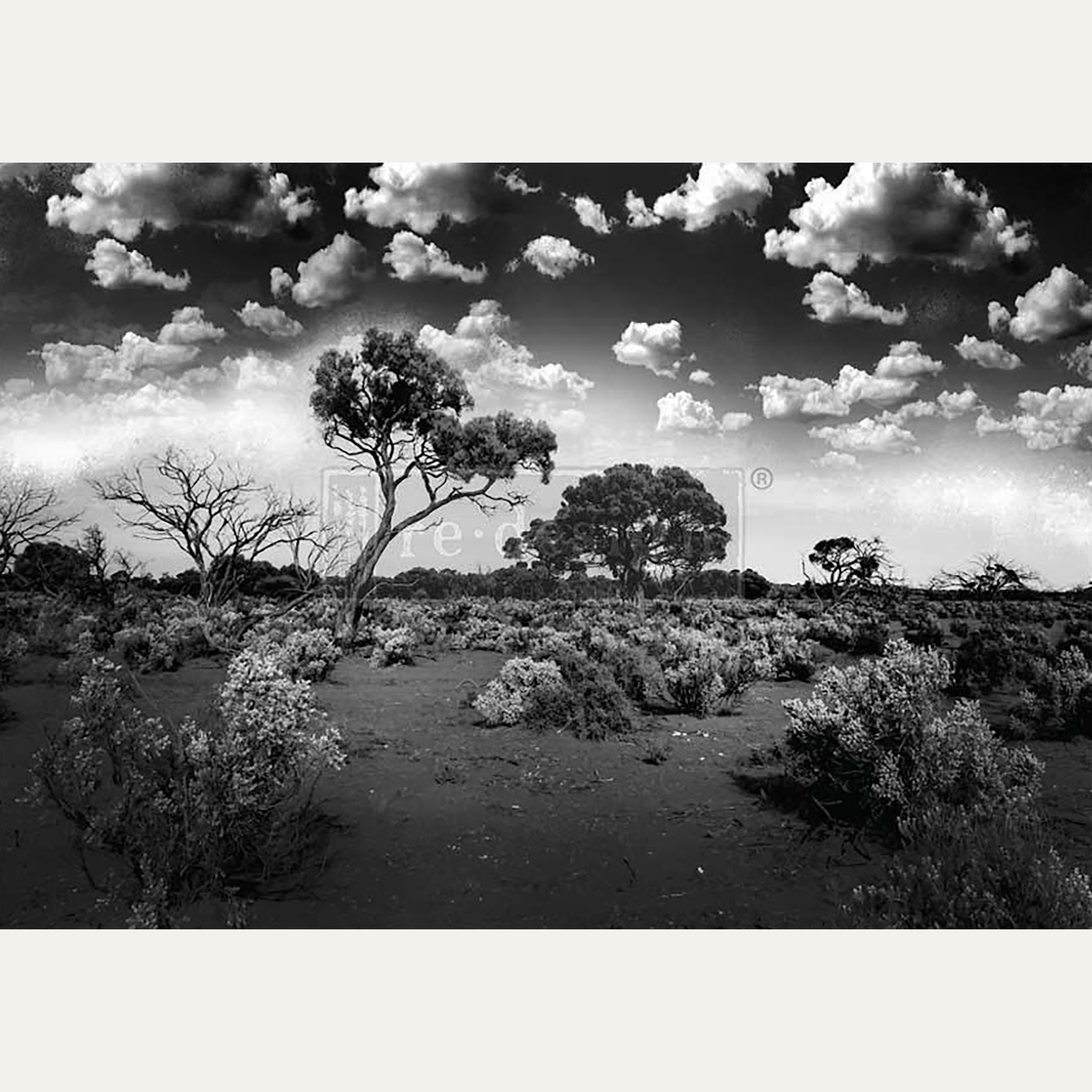 A1 fiber paper design featuring a beautiful black and white African desert landscape. White borders are on the top and bottom.