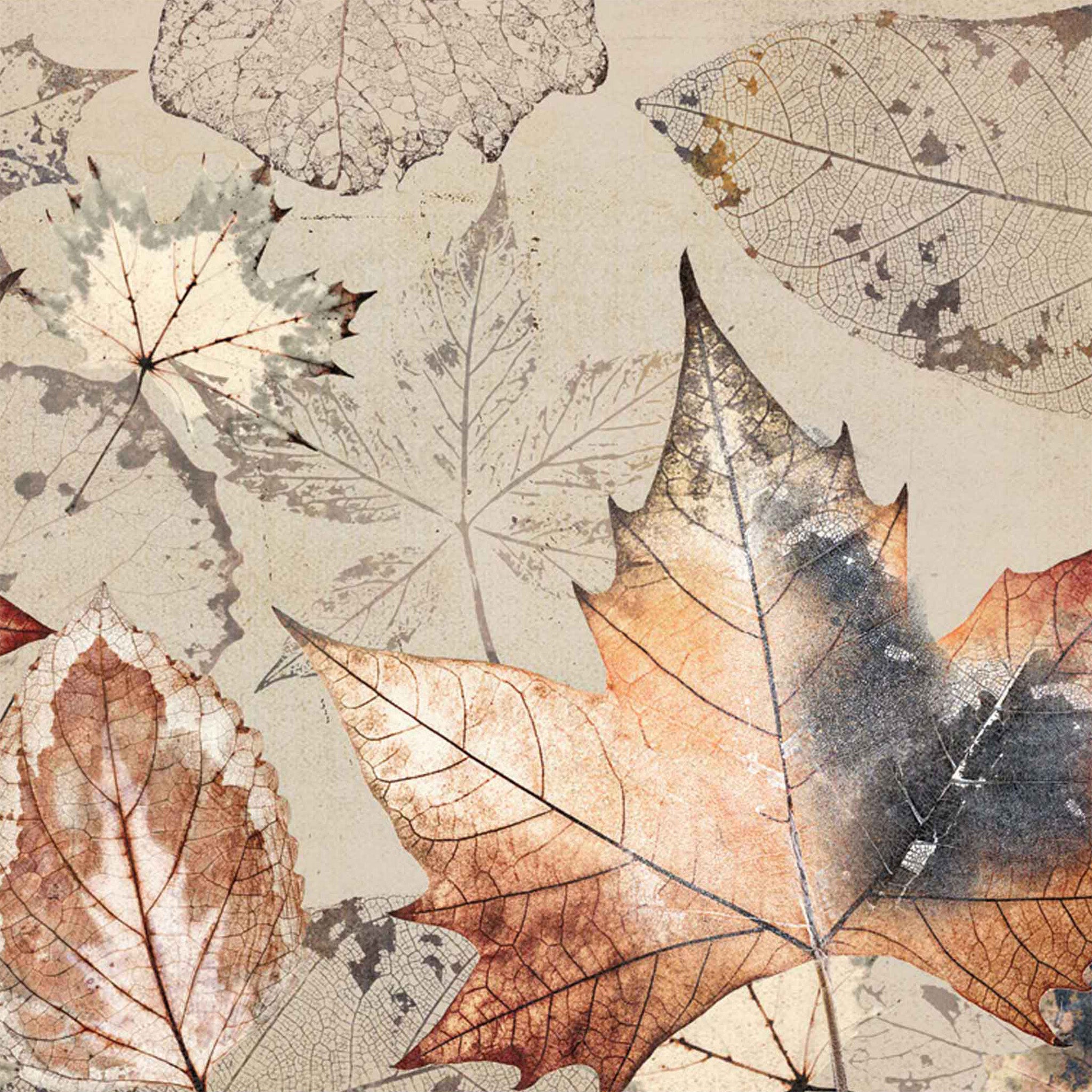 Whispering Windfall - A1 Fiber Decoupage Paper - ReDesign with Prima ...