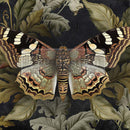 Close-up of an A1 fiber paper featuring a butterfly in intricate detail, surrounded by lush foliage on a dramatic dark backdrop.