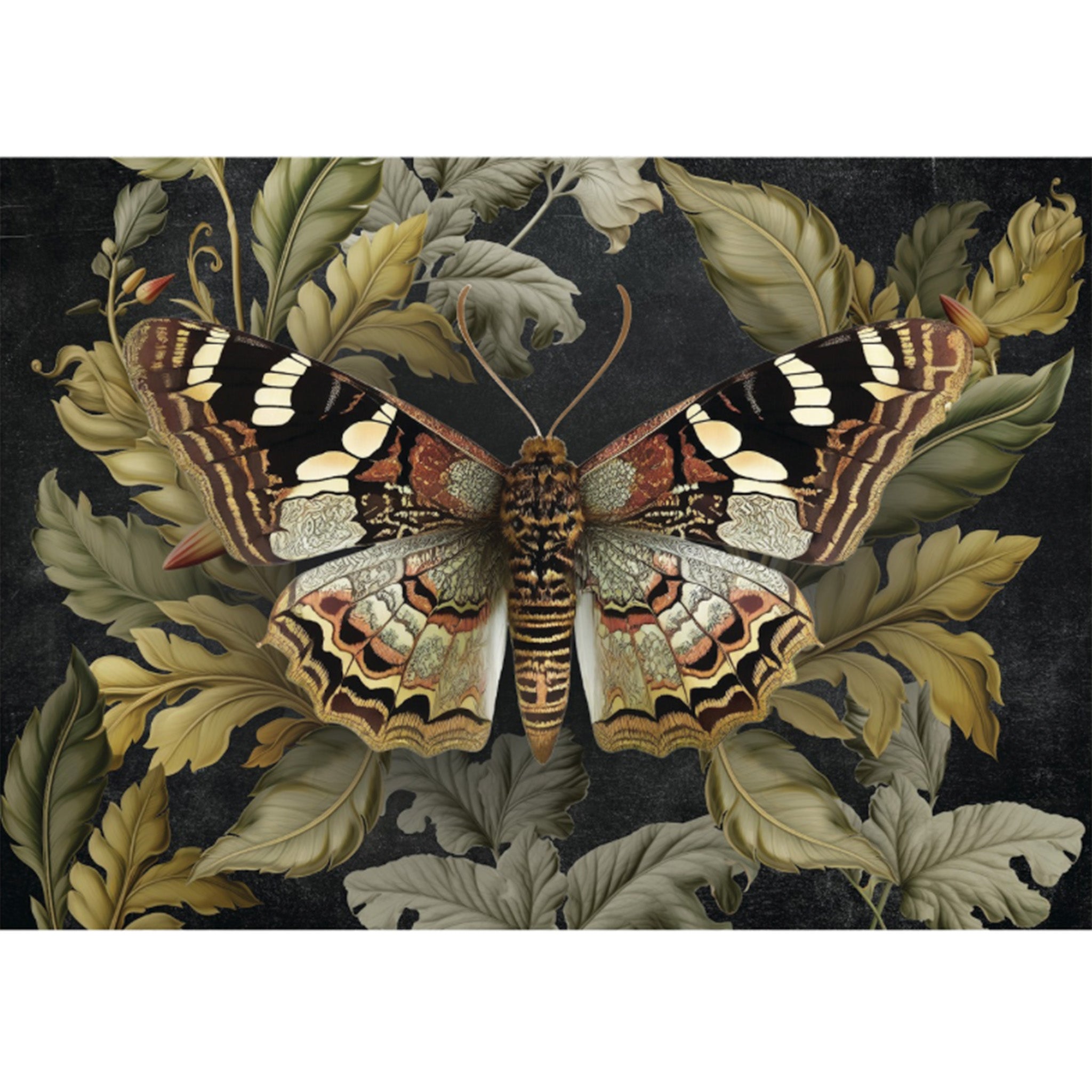 A1 fiber paper featuring a butterfly in intricate detail, surrounded by lush foliage on a dramatic dark backdrop. White borders are on the top and bottom.