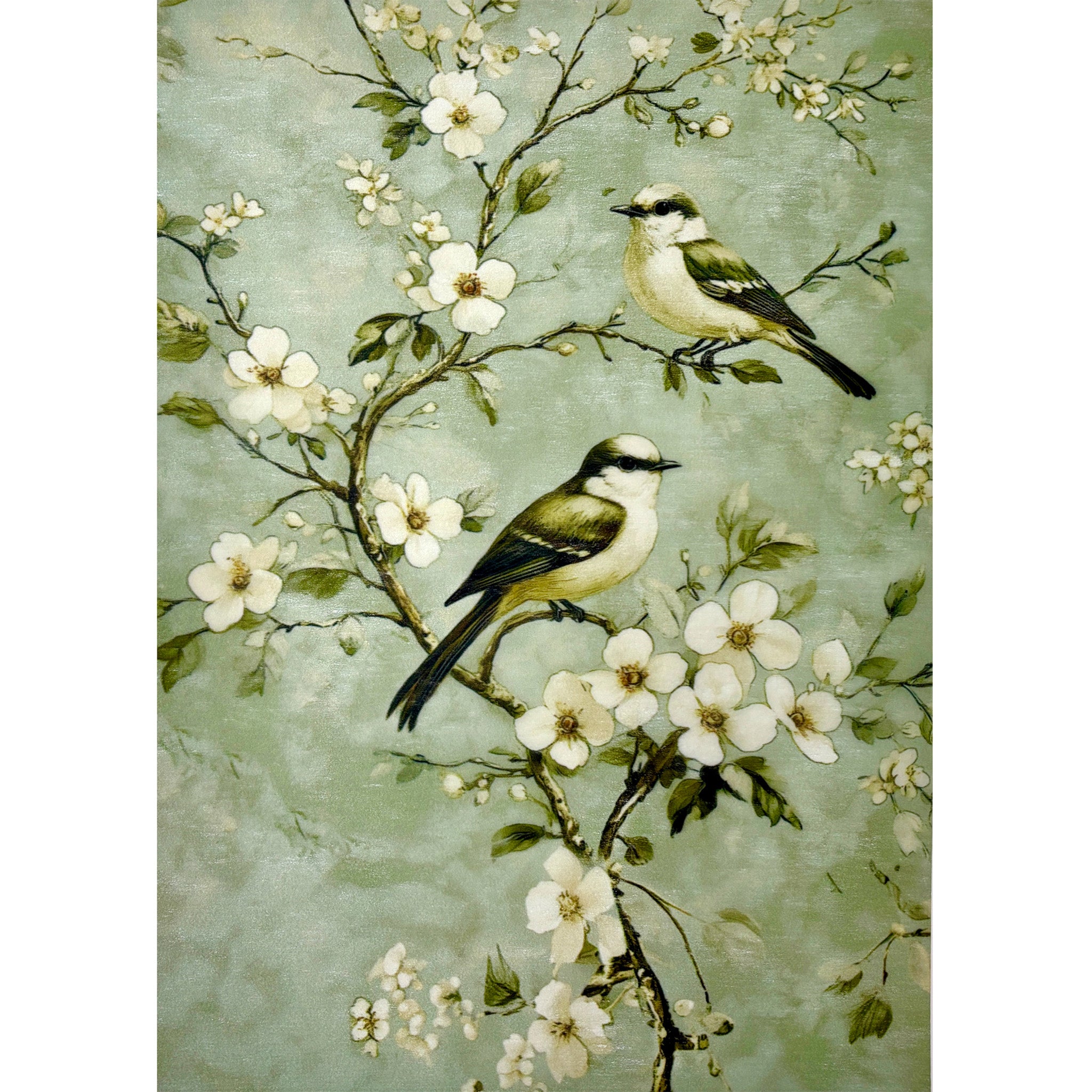 A3 fiber paper featuring a design of 2 small birds on white flowering branches against a light blue backdrop. White borders are on the top and bottom.