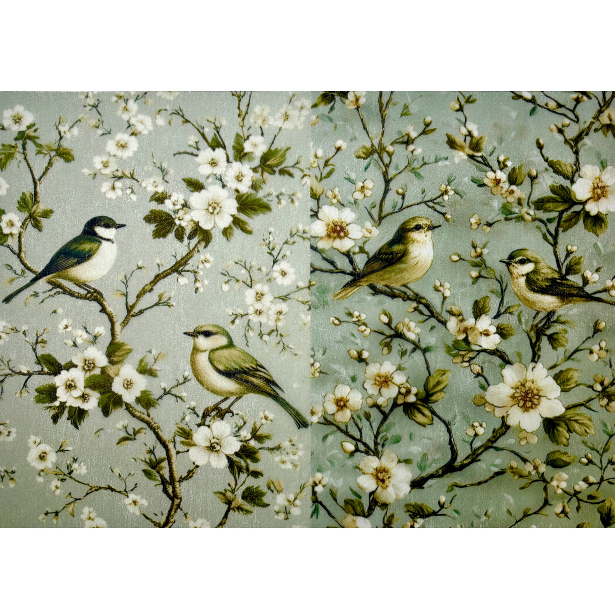 A3 fiber paper featuring 2 designs of small birds on white flowering branches against light blue backdrops. White borders are on the top and bottom.