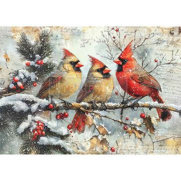 Three cardinals on a branch with snow and berries in the winter