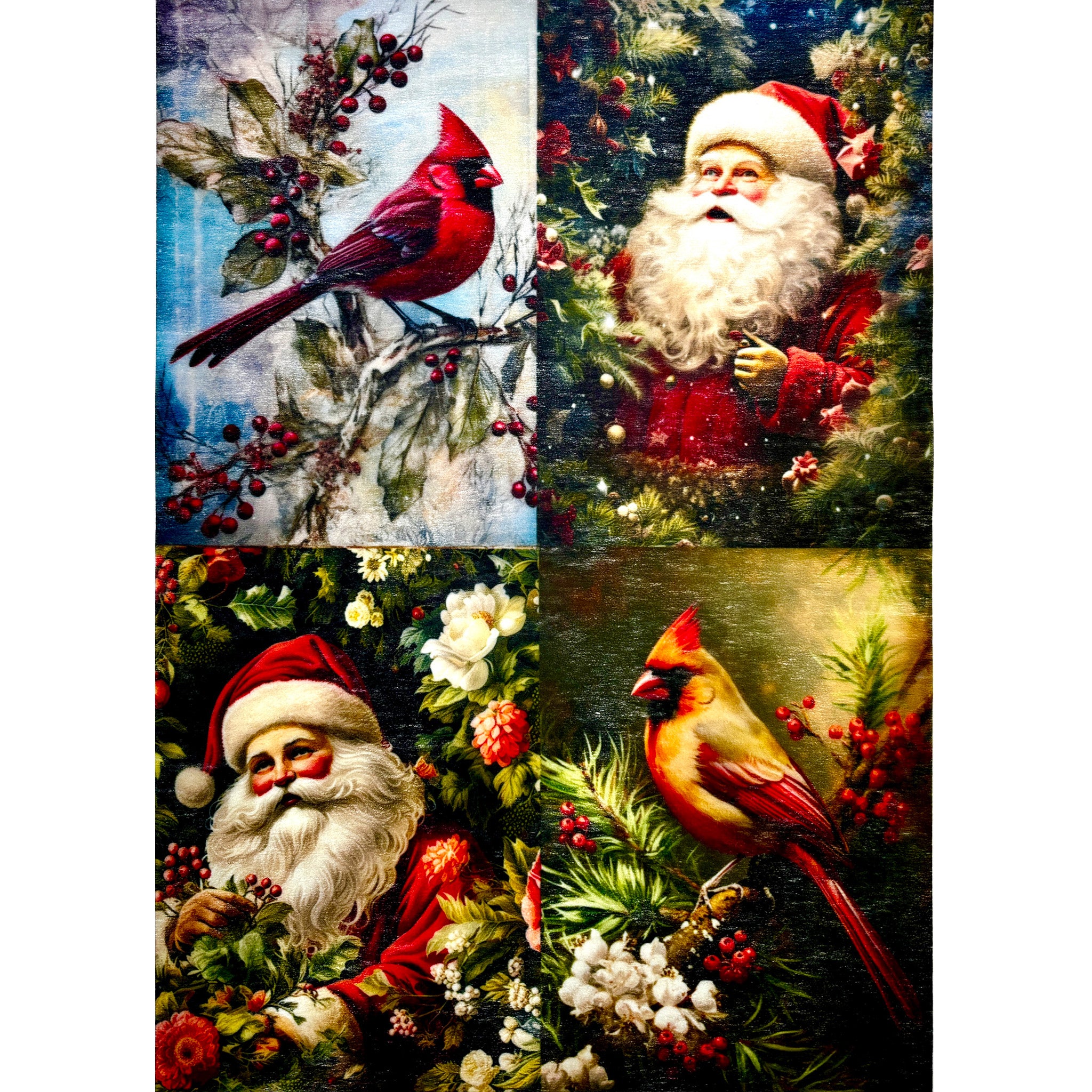 A3 fiber paper featuring 4 scenes of 2 red cardinal birds and 2 Santa Claus portraits surrounded by holiday greenery. White borders are on the sides.