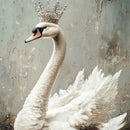 Close-up of an A1 fiber paper featuring a white swan crowned on sparkling waters. 