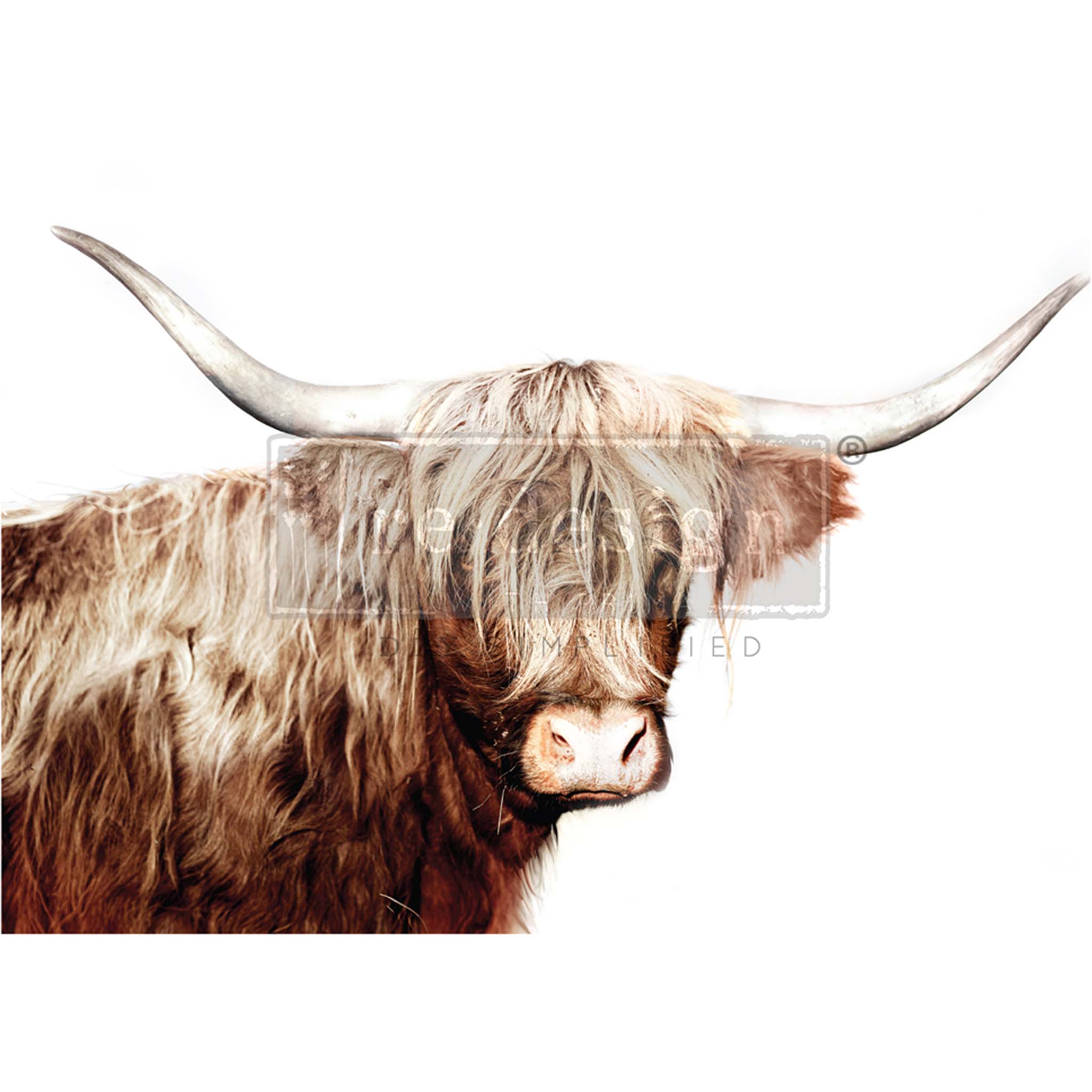 A1 fiber paper that features a charming brown highland cow against a white background. 