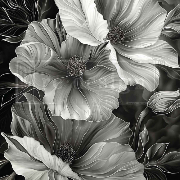 Black and white floral design on a black background