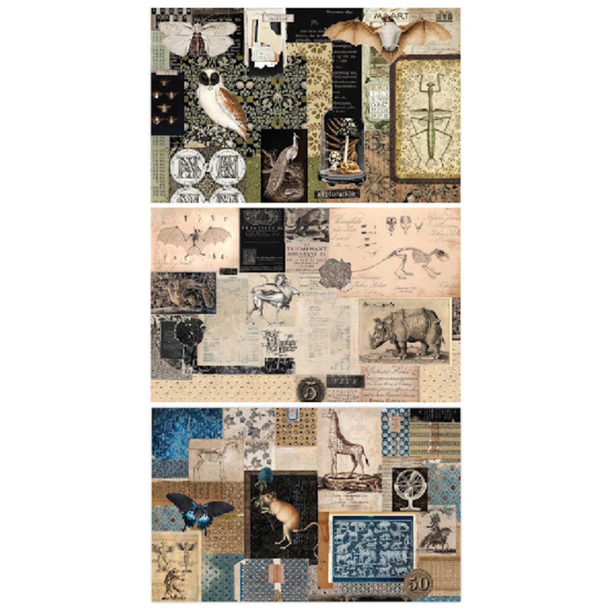 Three sheets of fiber paper are against a white background and feature collages of academia images including animals, insects, vintage wallpapers, and vintage notes.