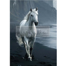A1 fiber paper that features a stunning white horse galloping along a black sands shore against a backdrop of rocky hills. White borders are on the sides.