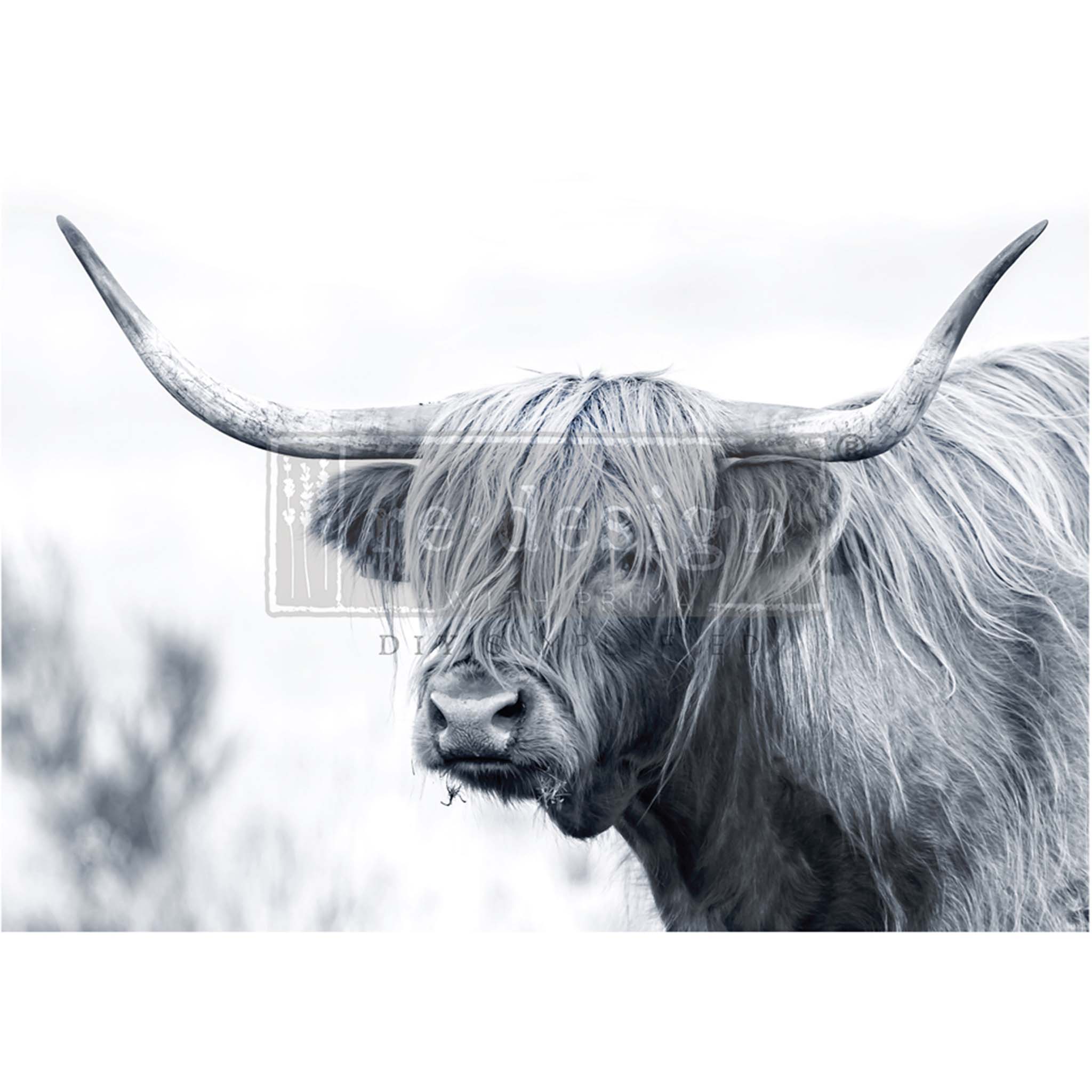 A1 fiber paper design featuring a black and white portrait print of a highland cow. 