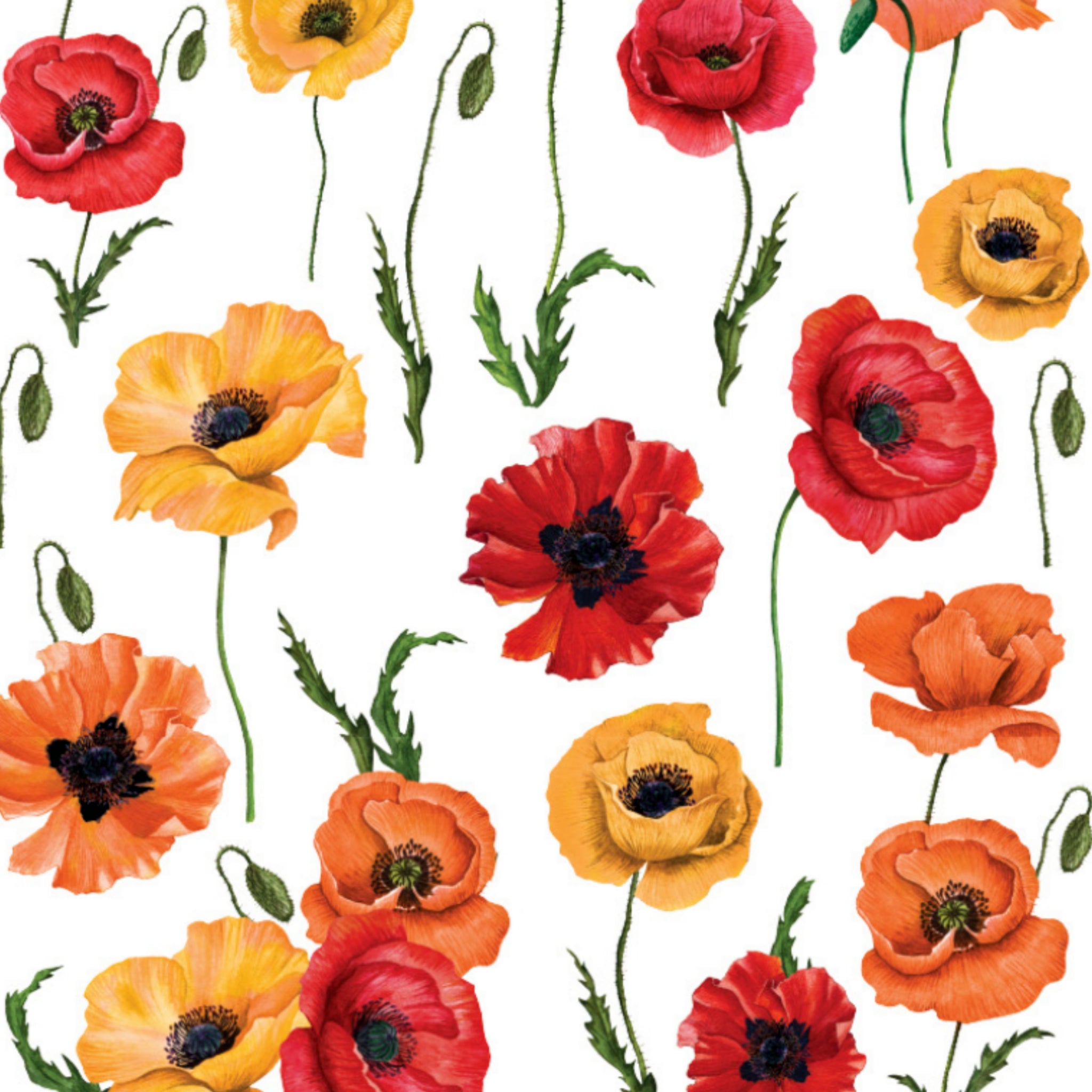 Close-up of a rub-on transfer that features colorful poppy flowers against a white background.