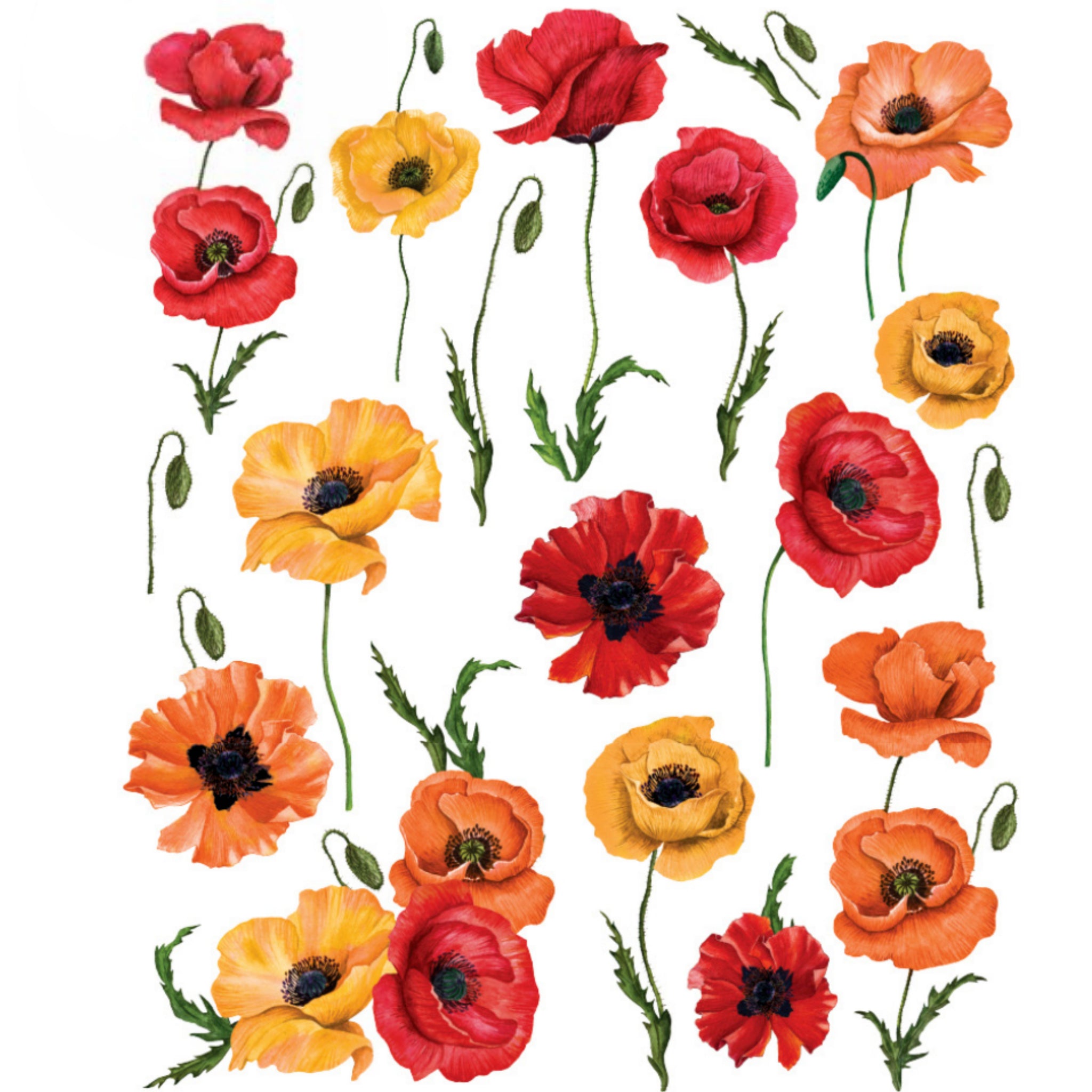 A rub-on transfer that features colorful poppy flowers against a white background.
