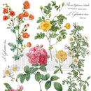 Closeup of Poetry in Petals water activated transfer decals with pink roses, yellow blooms, and vintage botanical script