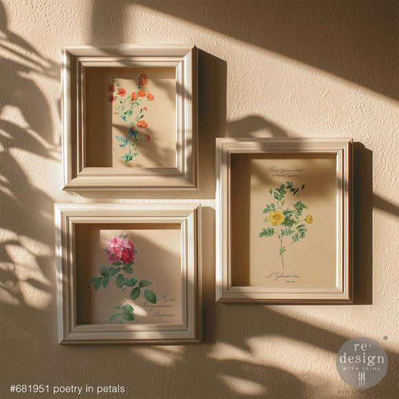 Poetry in Petals water slide transfers used as vintage botanical wall art in three framed prints