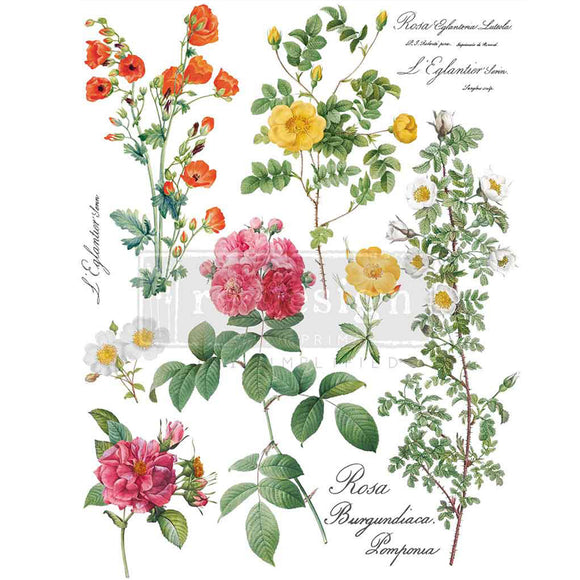 ReDesign with Prima Poetry in Petals H2O water slide transfer sheet 8.5x11 with vintage botanical roses and wildflowers
