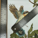 Illustration of a bird with a ruler next to it on a floral background