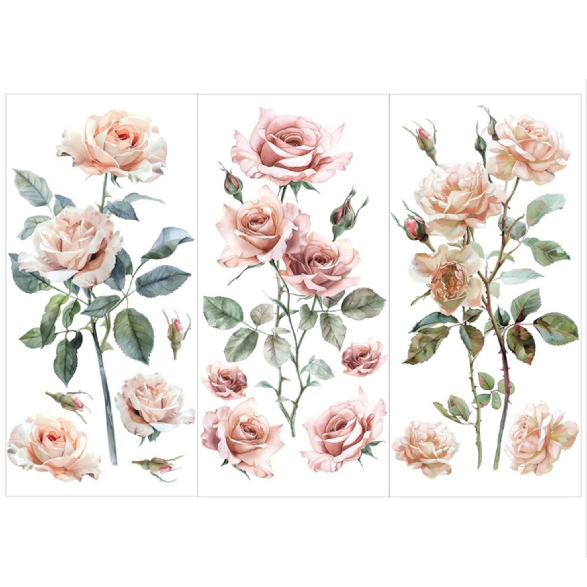 Three sheets of small rub-on transfers featuring delicate rose blooms in soft blush and cream colors are against a white background.