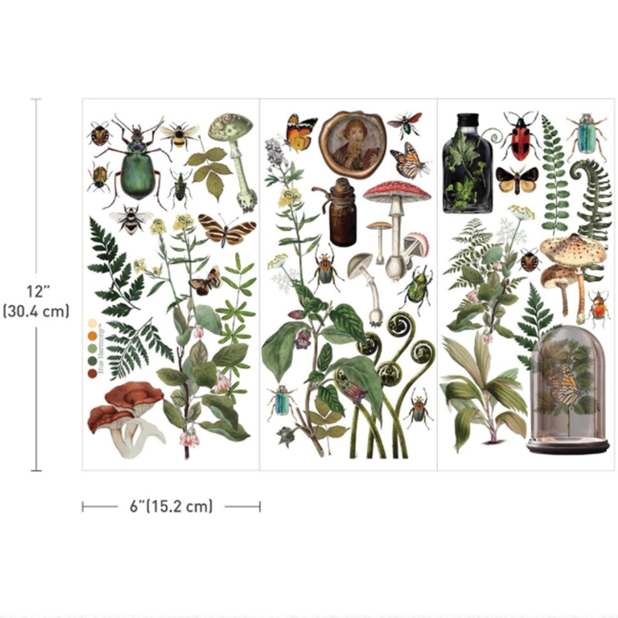 Three sheets of ReDesign with Prima's Botanical Archives small rub-on transfers are against a white background. Measurements for 1 sheet reads: 12" (30.4 cm) x 6" (15.2 cm).