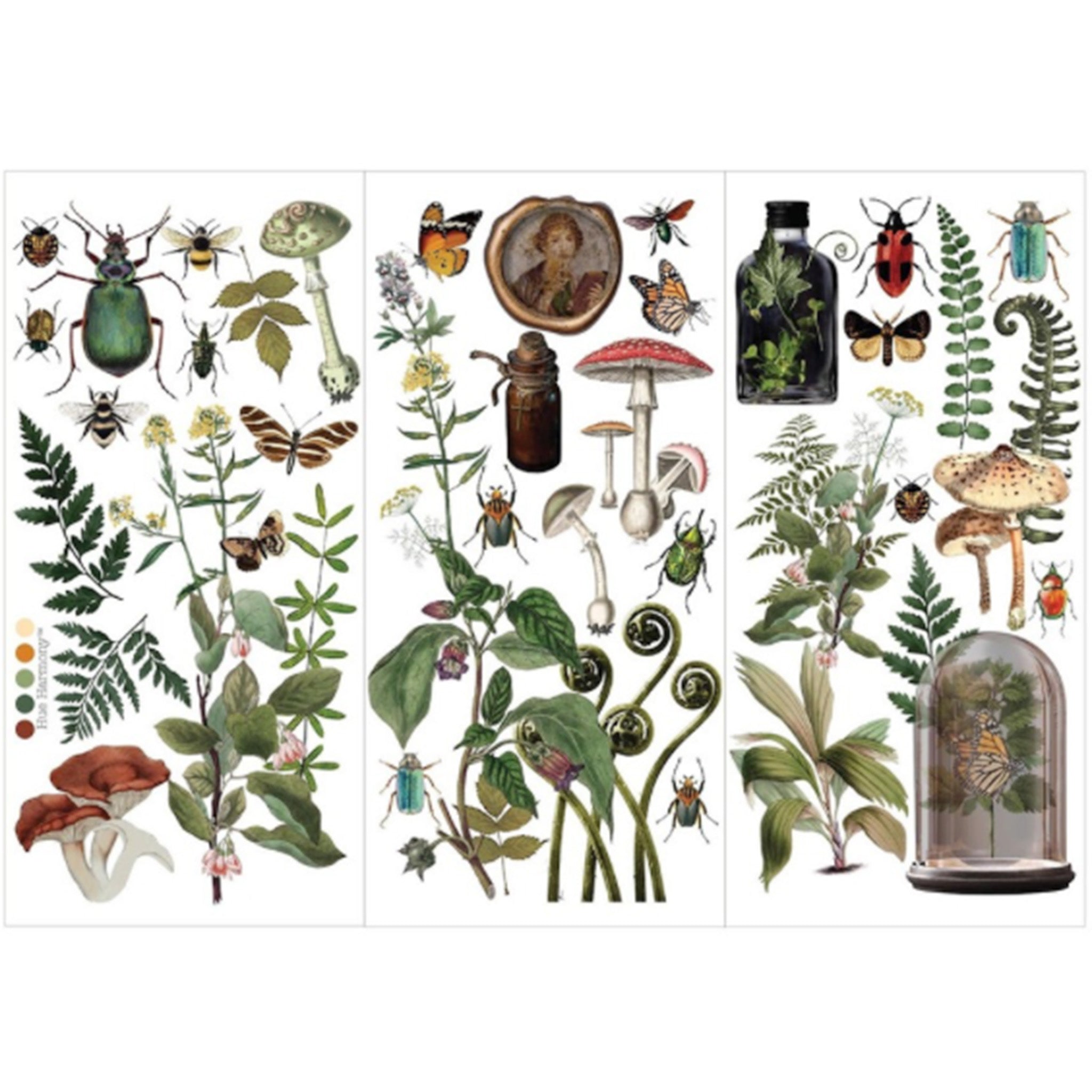 Three sheets of small rub-on transfers featuring vintage insects, mushrooms, ferns, and delicate foliage are against a white background.