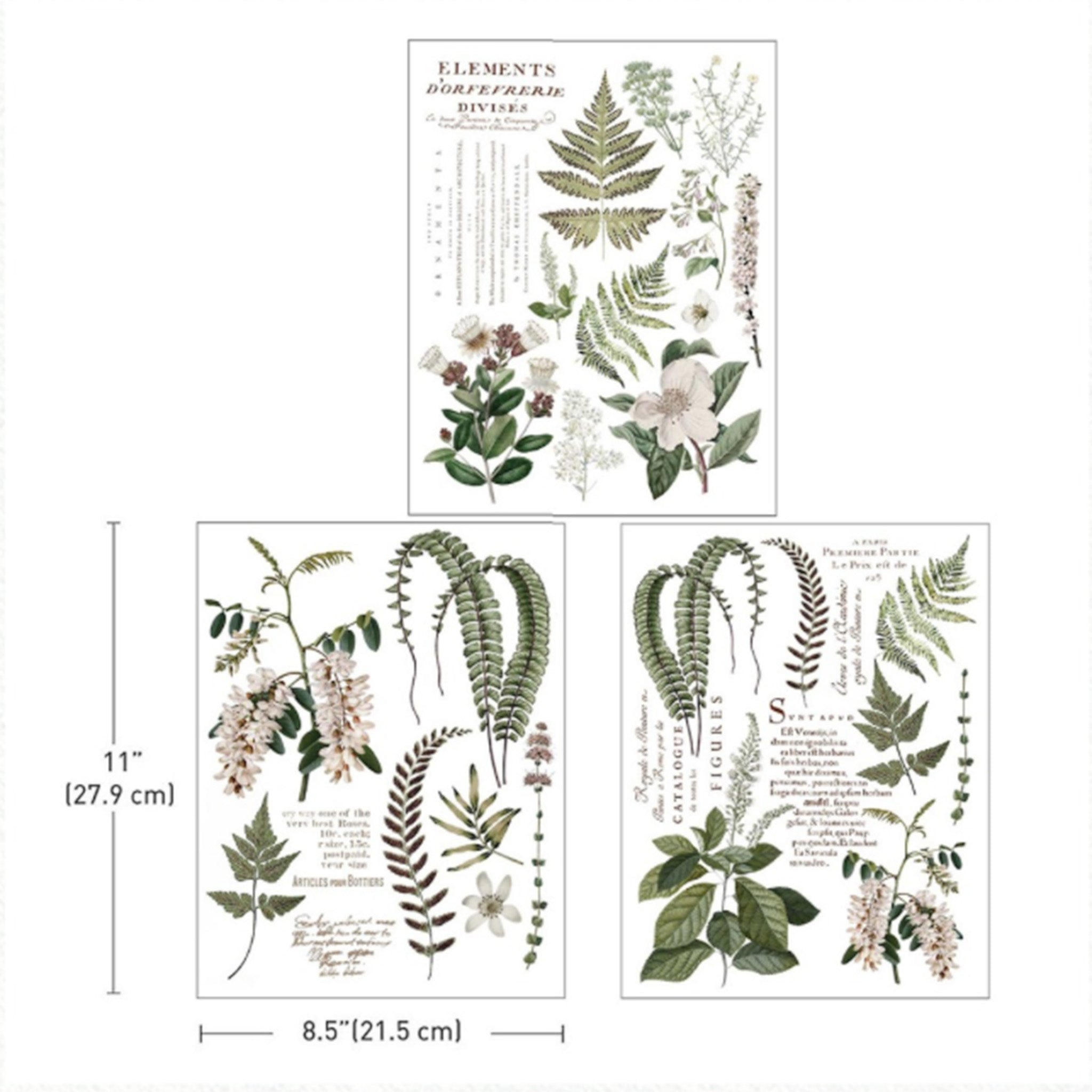 Three sheets of ReDesign with Prima's Greenery Grace small rub-on transfers are against a white background. Measurements for 1 sheet reads: 8.5" (21.5 cm) x 11" (27.9 cm).