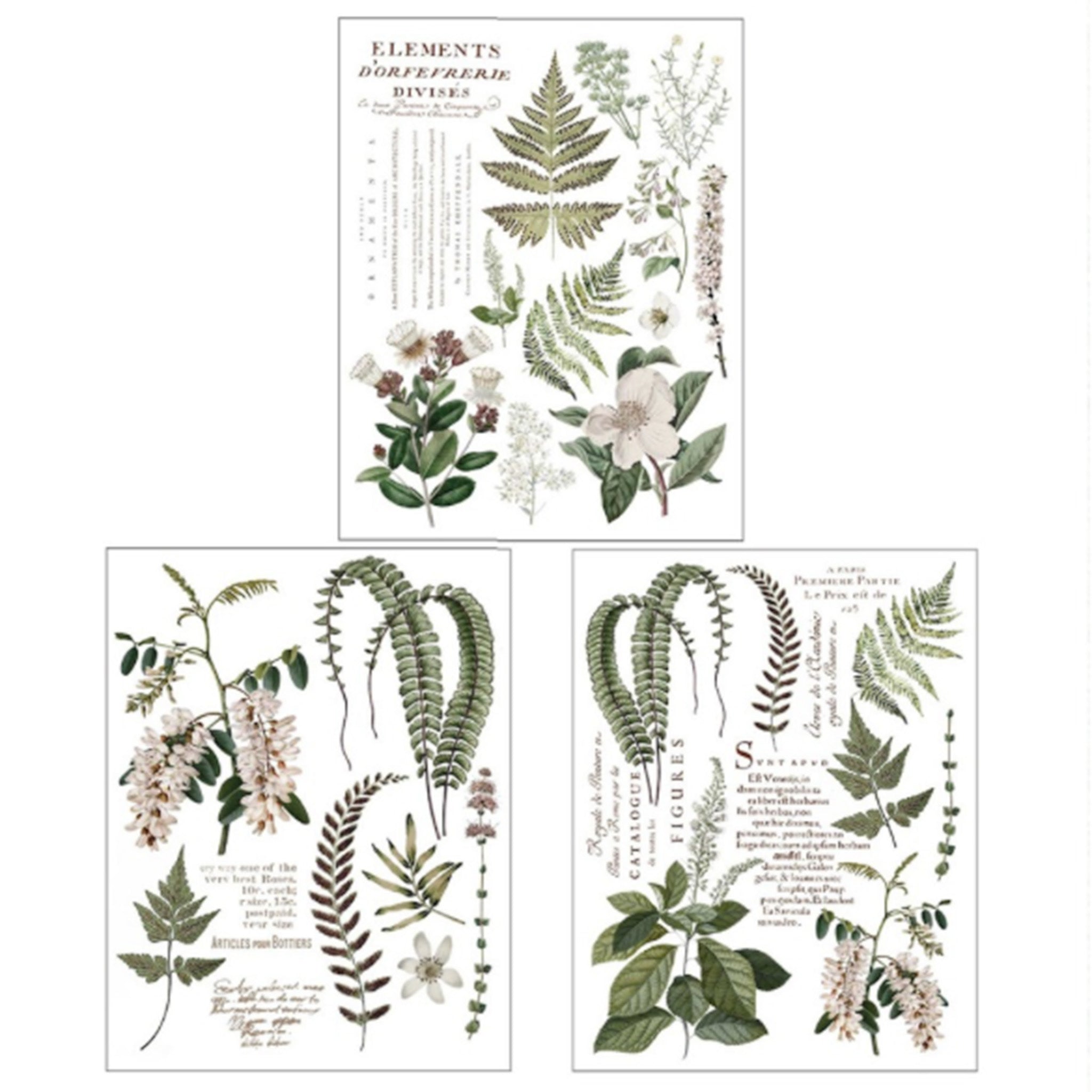 Three sheets of small rub-on transfers are against a white background and feature ferns, flowers, and botanical notes.