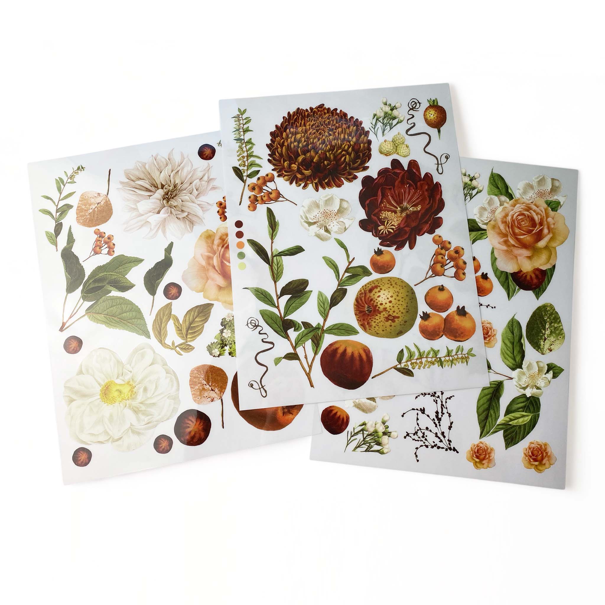 Three sheets of 8.5" x 11" small rub-on transfers that feature autumn flowers, foliage, and fruits are against a white background.