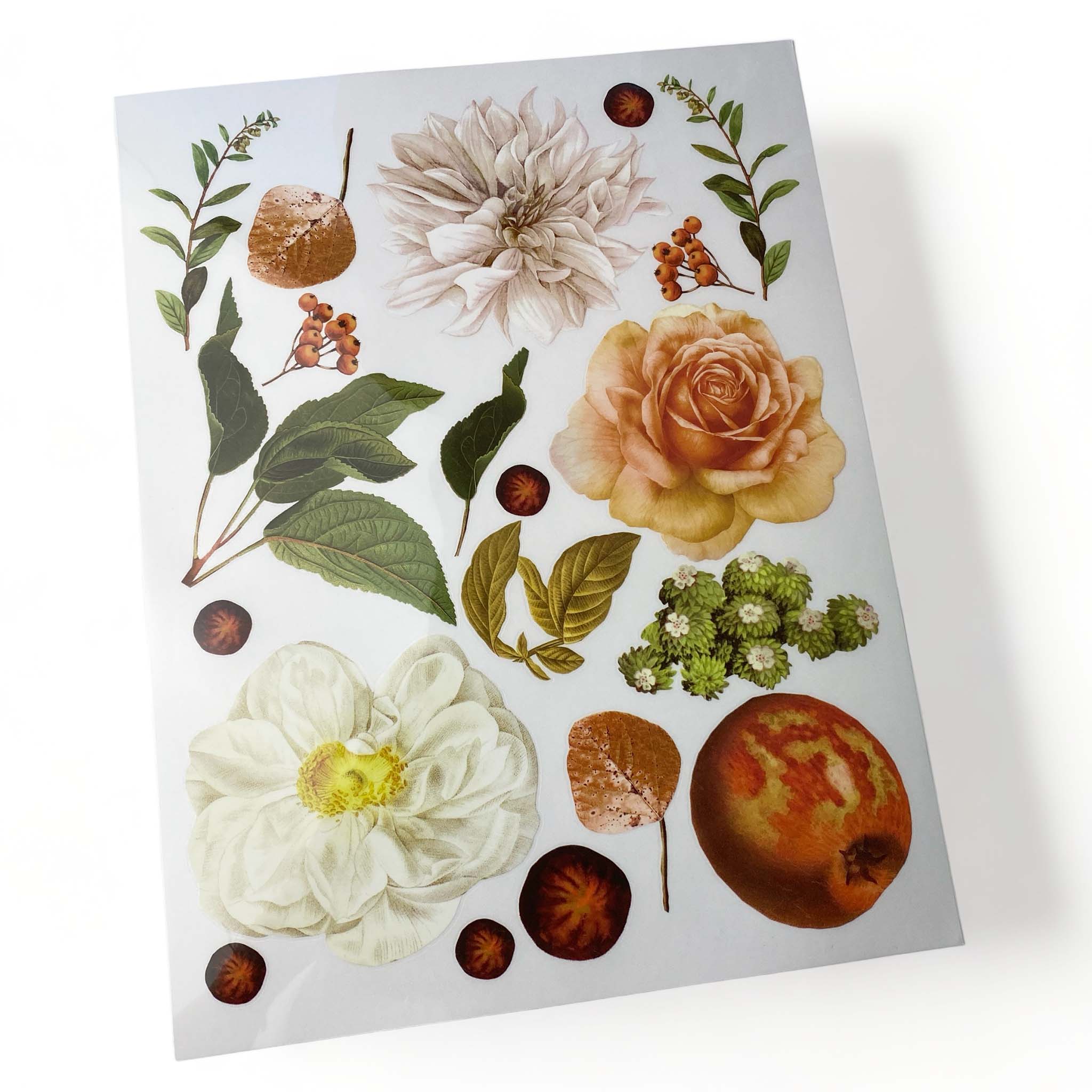 One sheet of ReDesign with Prima's Seasonal Splendor small rub-on transfer is against a white background.
