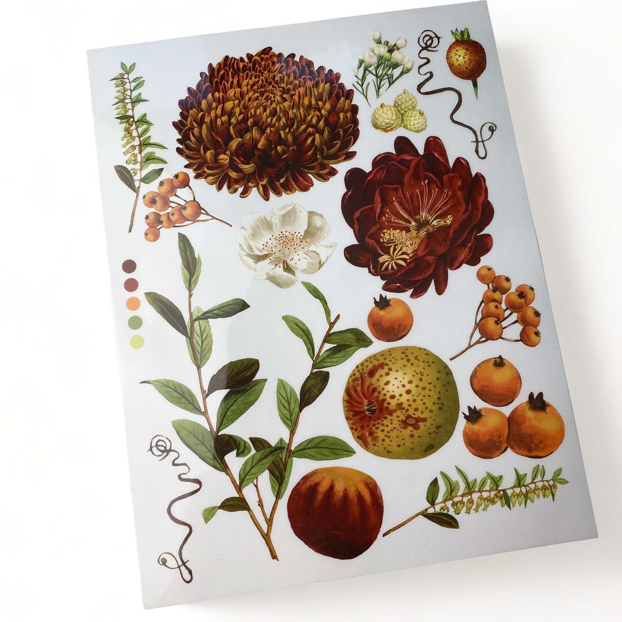 One sheet of ReDesign with Prima's Seasonal Splendor small rub-on transfer is against a white background.