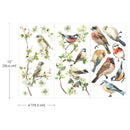 Three sheets of ReDesign with Prima's Nestled Whispers small rub-on transfers are against a white background. Measurements for 1 sheet reads: 12" ( 304 cm) x 6" (15.2 cm).