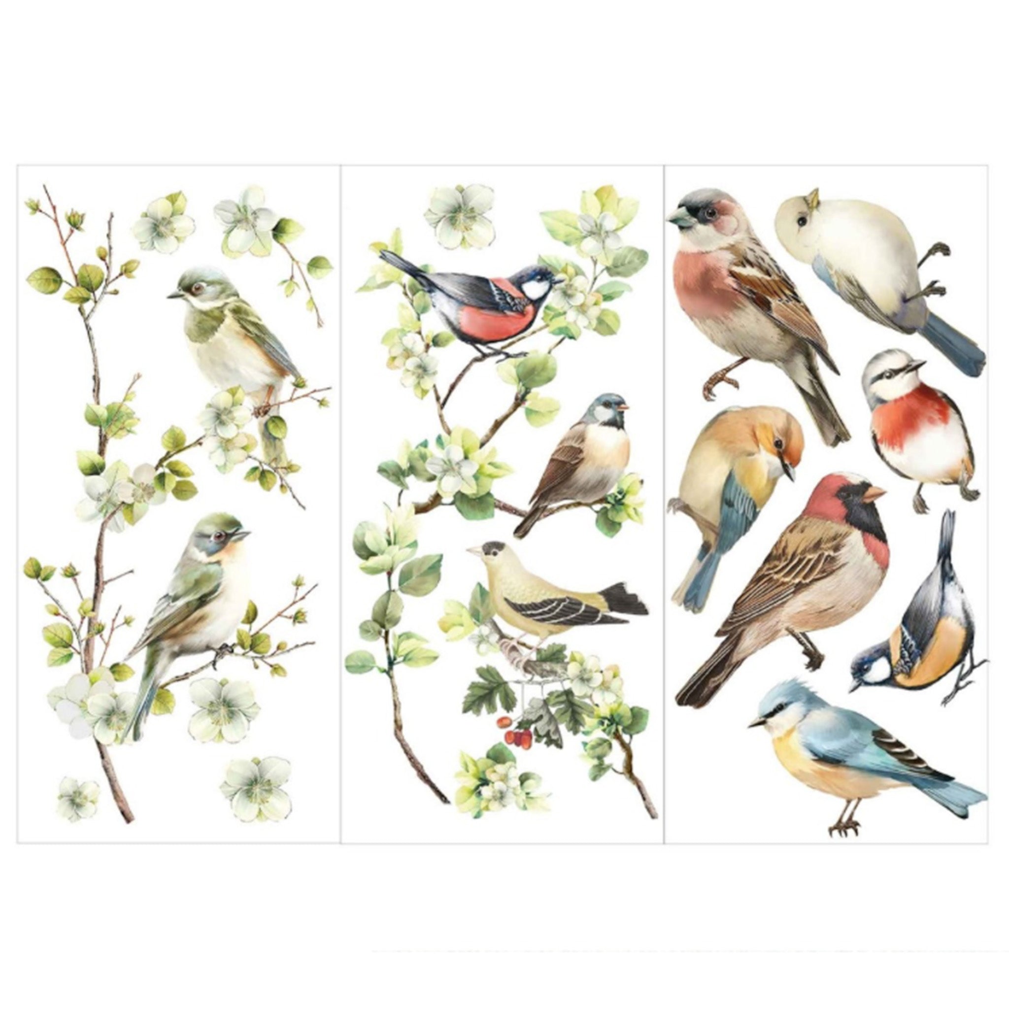 Three sheets of small rub-on transfers featuring sweet little birds perched on budding branches, surrounded by soft blooms are against a white background.