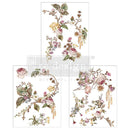 Three sheets of small rub-on transfers featuring blush roses intertwined with graceful vining greenery and delicate yellow flowers are against a white background.