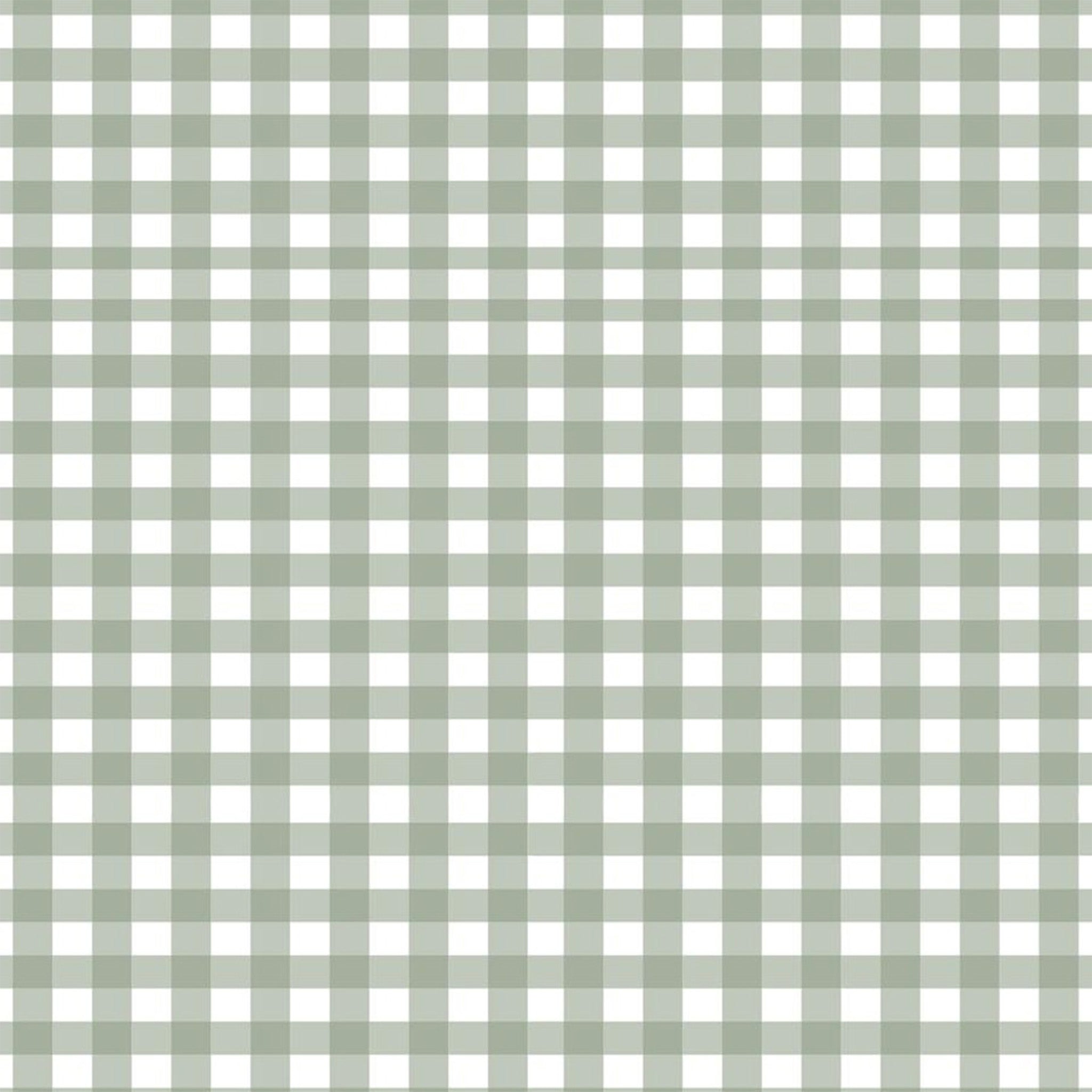 Close-up of a rice paper design that features a repeating light sage green gingham plaid pattern.