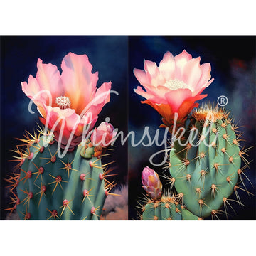 Tissue paper featuring two designs of stunning cacti crowned with soft pink flowers against a dramatic blue backgrounds.