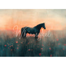 Tissue paper featuring a majestic horse standing peacefully in a field of poppies as the sky glows with the soft hues of sunset.