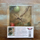Whimsykel - Parrot Paradise Decoupage Paper (21x29 Size)-3