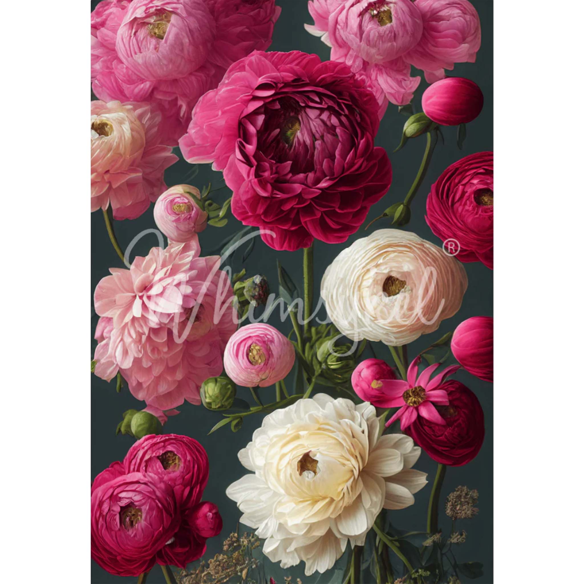 Tissue paper featuring a charcoal background with blooming peonies in shades of fuchsia, soft pink, and cream. White borders are on the sides.
